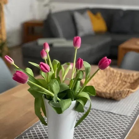 Ostsee Pelzerhaken Daire Neustadt in Holstein